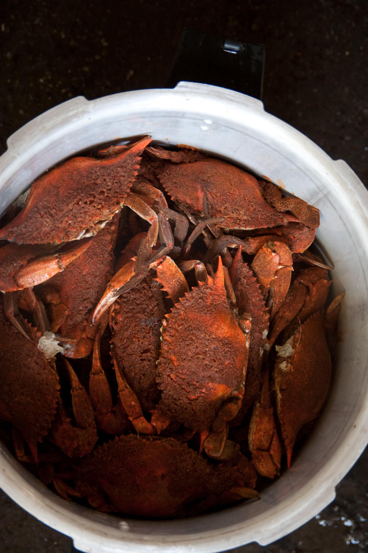 Beautiful swimmers make a beautiful meal