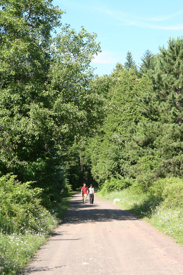 Walking back to camp