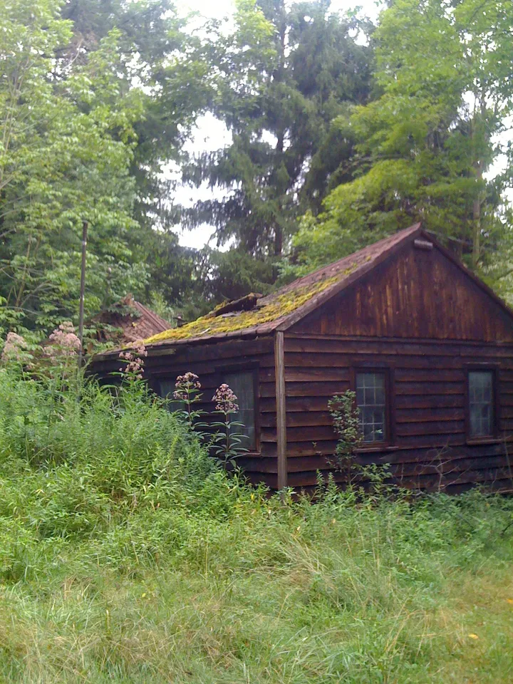 Abandoned cabin