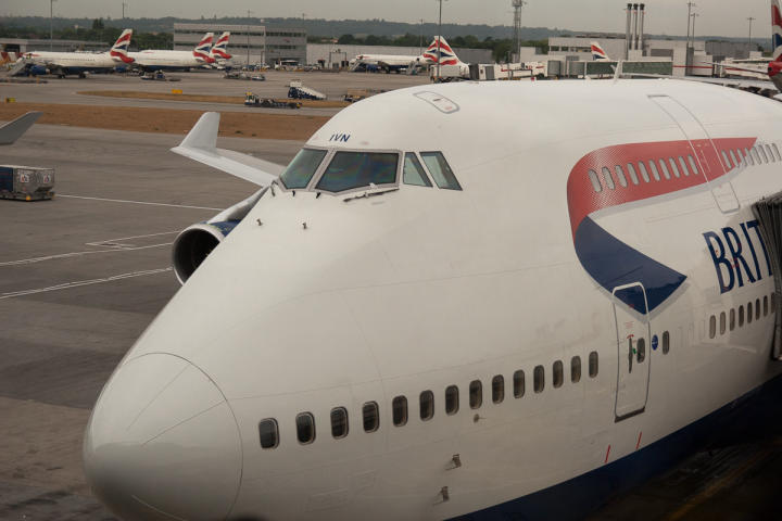 The bird that took us to Nairobi