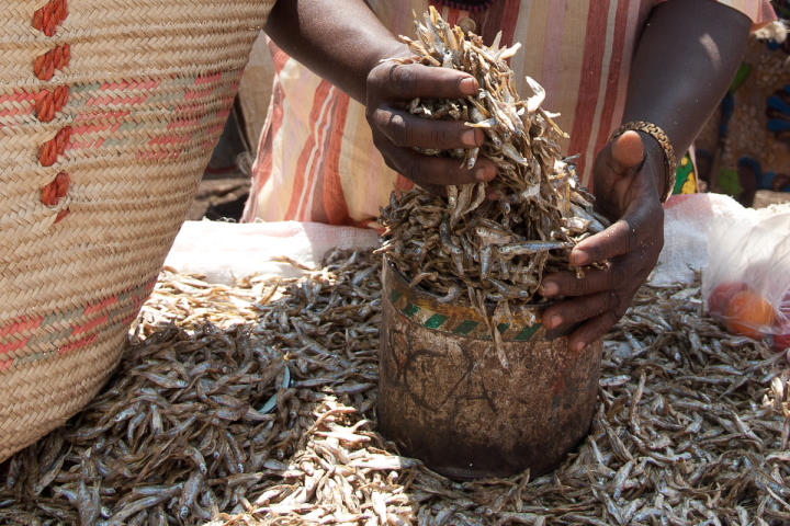 The fishmonger preparing a purchase