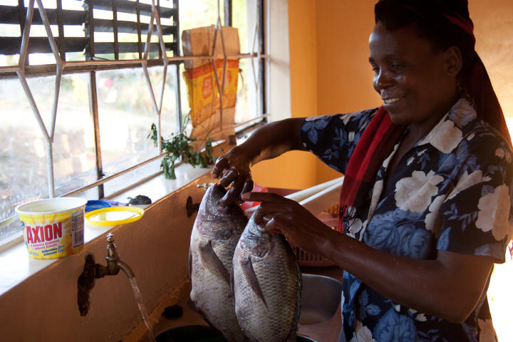 Alice preparing Tilapia