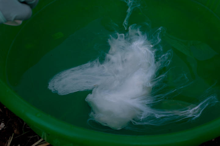 The insecticide mixing into the water