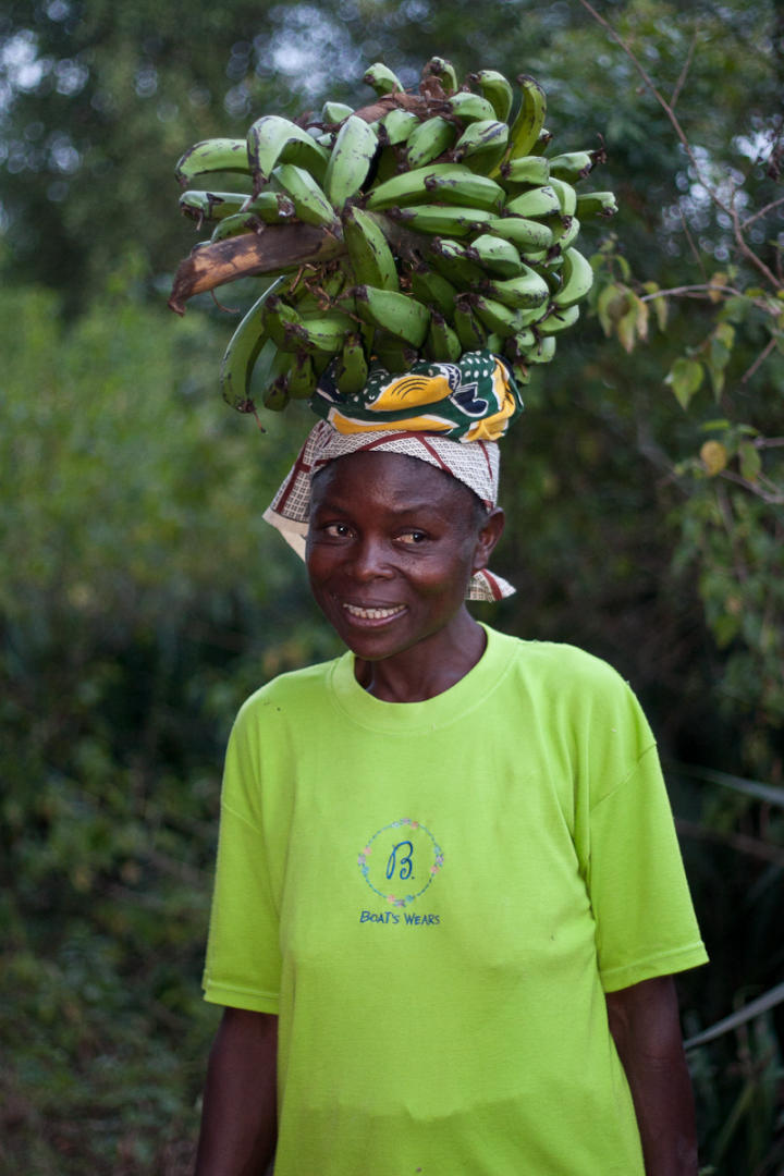 Bringing bananas back