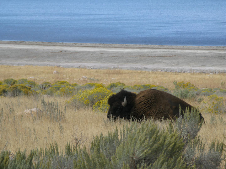 utah-201010-023.jpg