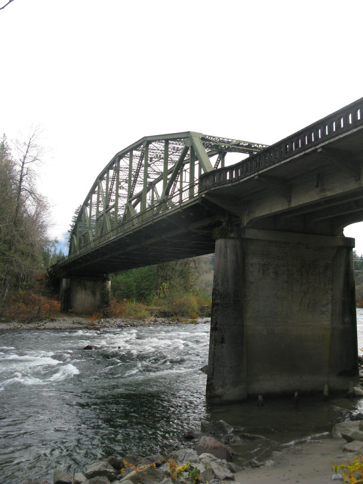 The bridge into the forest