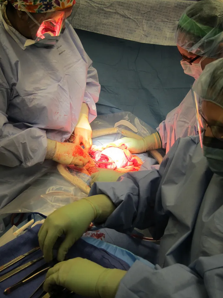 Dr. Syed stitches Jen up