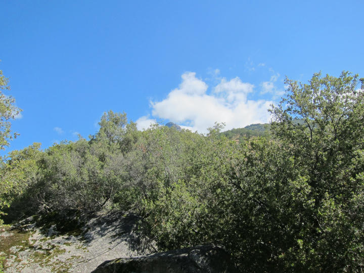 The Distant Moro Rock