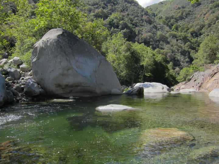 A Green Mountain Pond