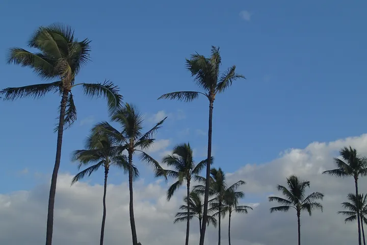Hawaii2015 44