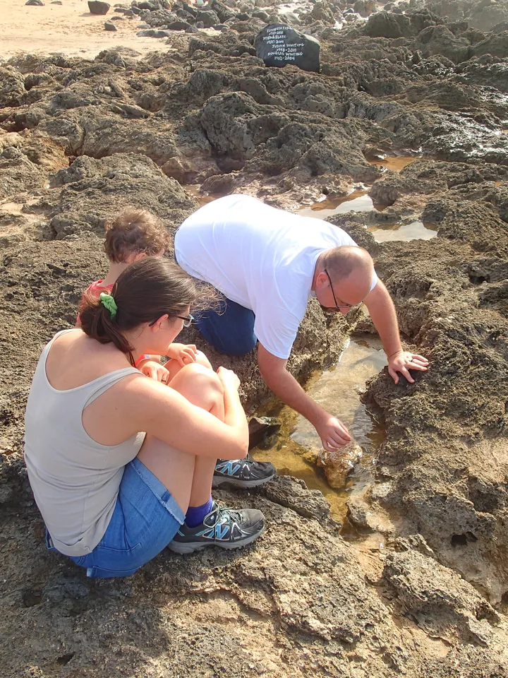 Family investigating the tidepools