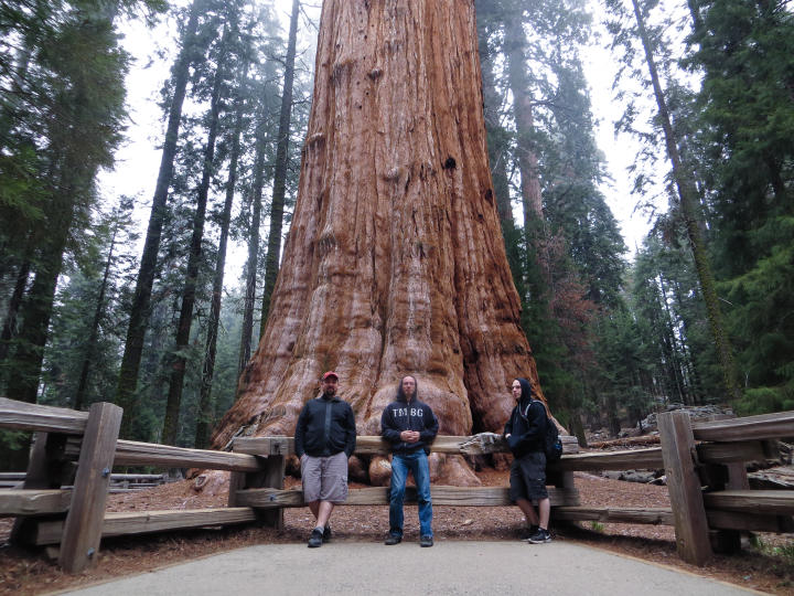 We three at the General Sherman (by JTB)