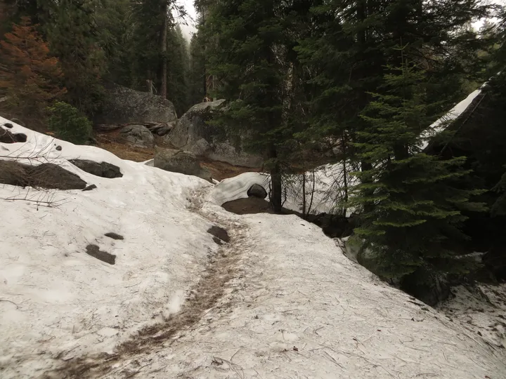 Path through the snow