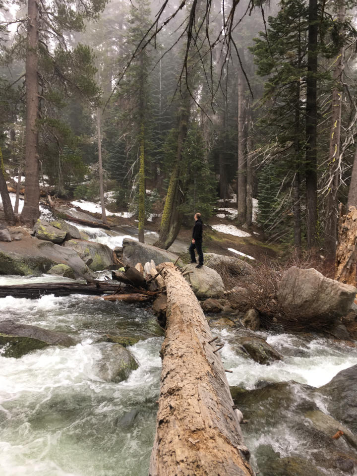 Scott walked across the tree, risking life and limb