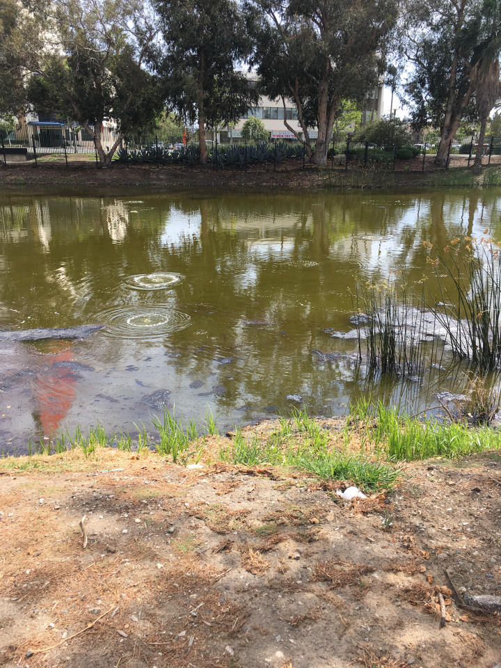 Active tar pit