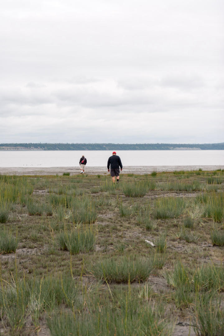 On the mud flats