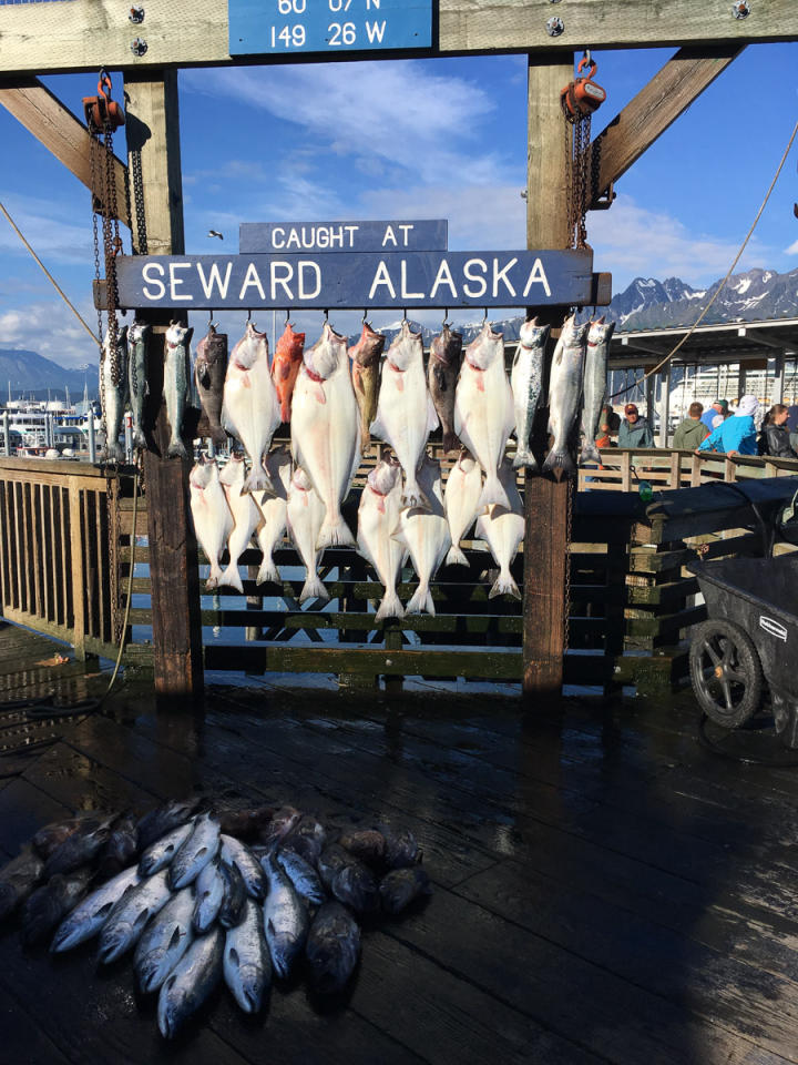 Other boats caught more fish than we did