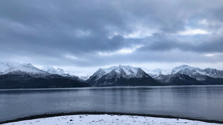 The bay at Seward