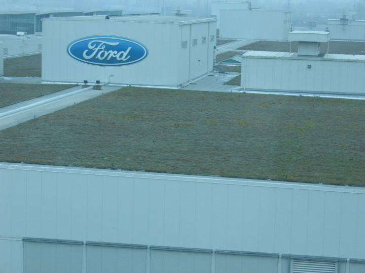 The roof of the Dearborn Truck Plant - note the vegetation growing on top