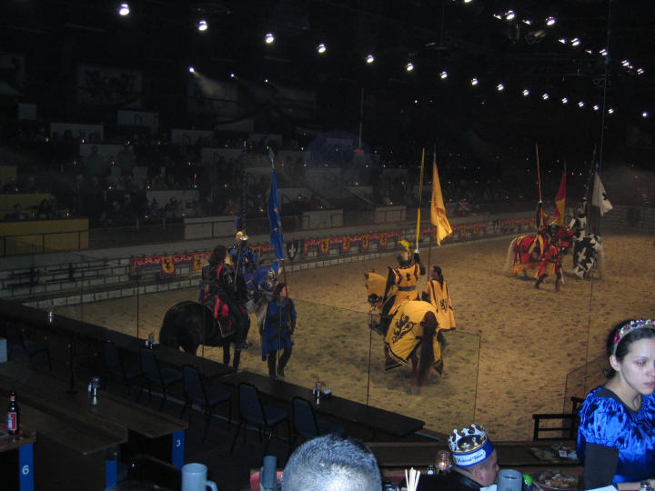 Preparing to joust 1