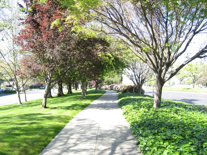 A good example of Santa Clara sidewalks