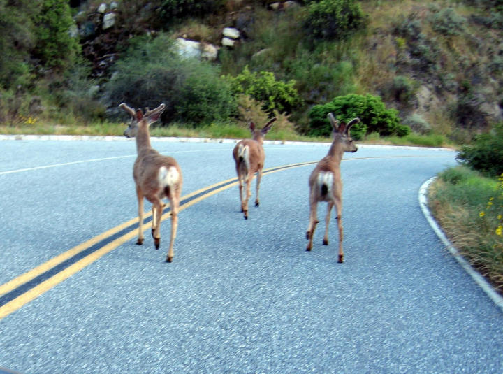 Out for a morning jog