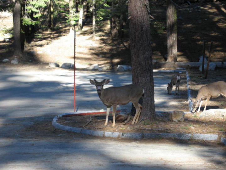 At the visitor center