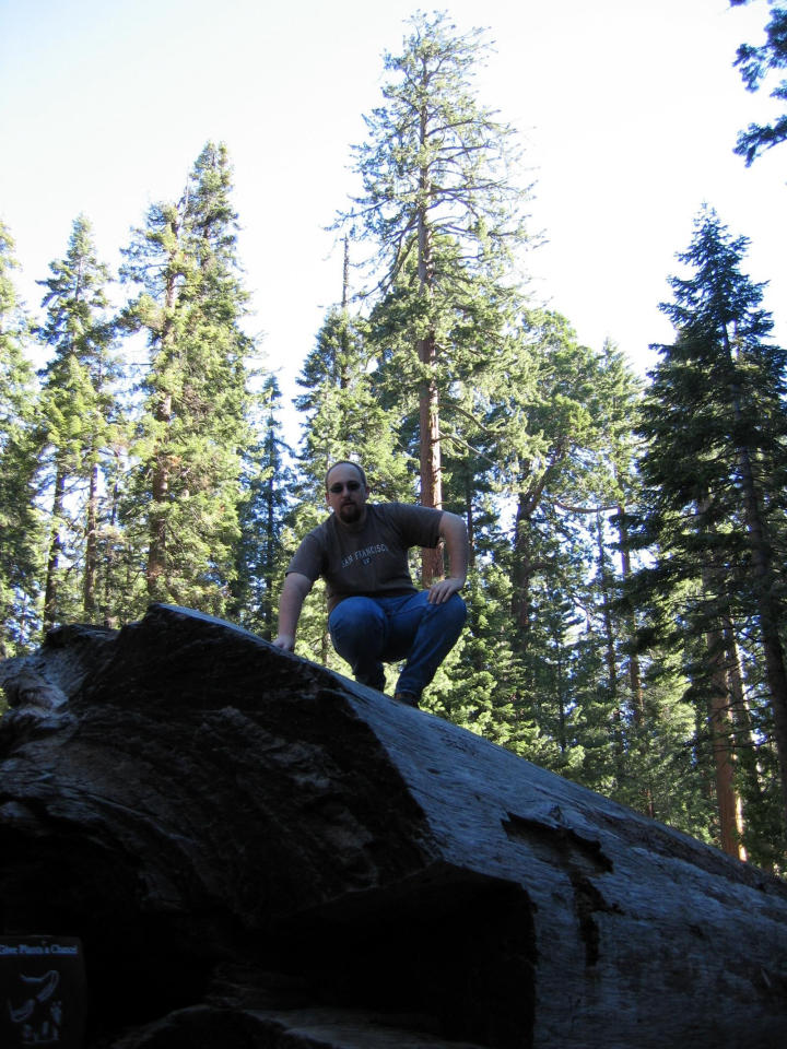 Me on a fallen sequoia