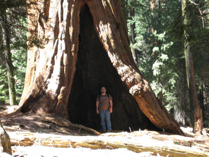 And me in a tree