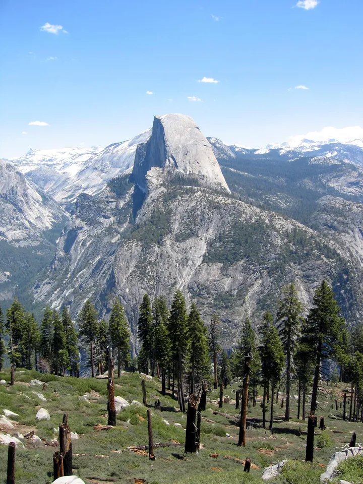 Half Dome and a wasted forest