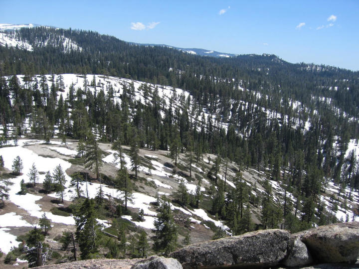 Part of the trail we followed to Sentinel Dome