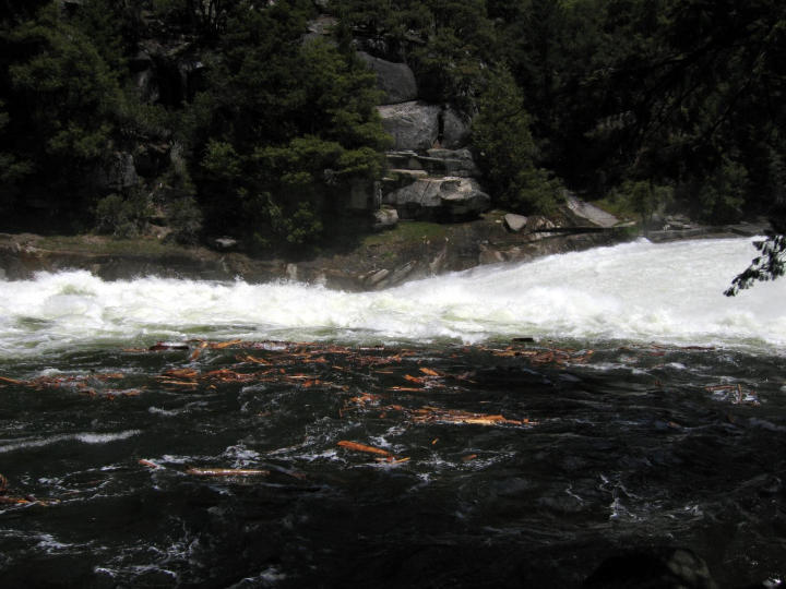 The Emerald Pool, awash with flotsam and jetsam