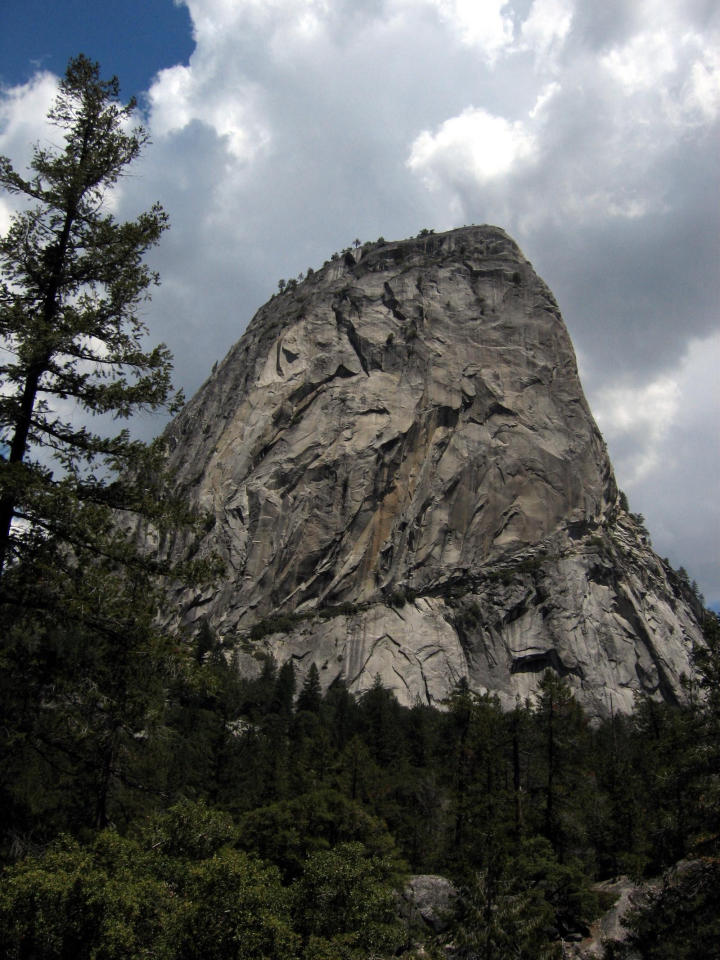 Liberty Cap