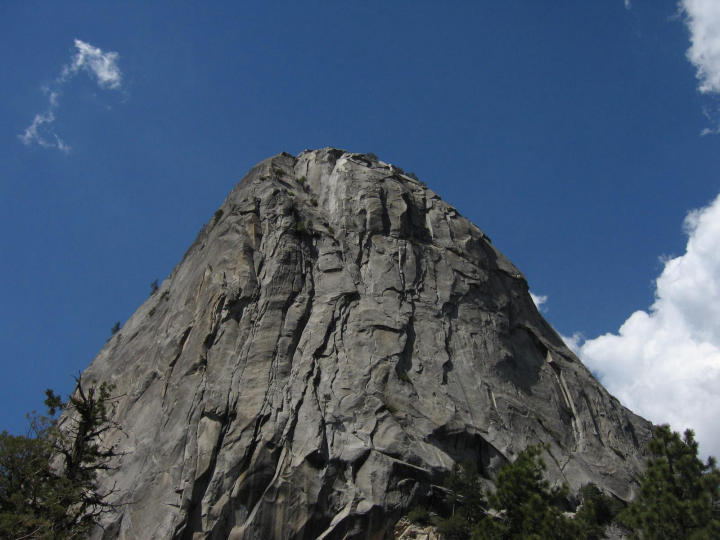 Liberty Cap again