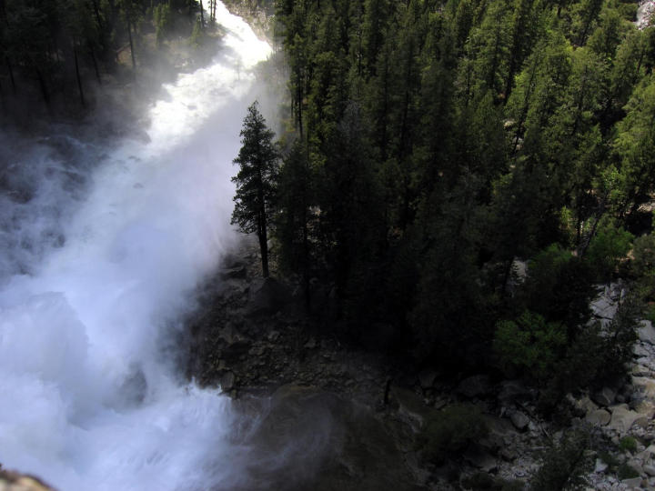 Forest around the falls