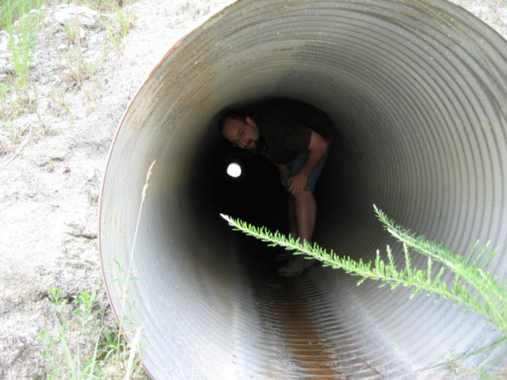 Down the tube