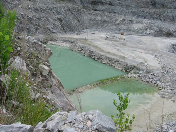 The exceeeeeedingly green pond