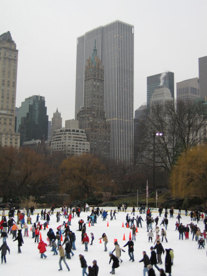 Skating in Central Park