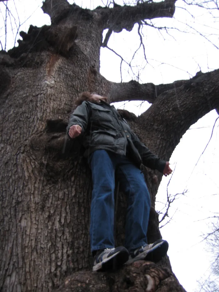 JT scales a tree