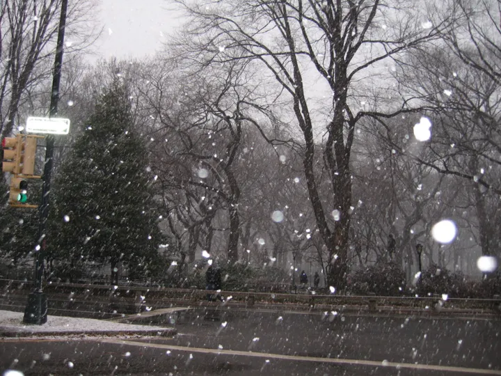 The snowing coming down in Central Park