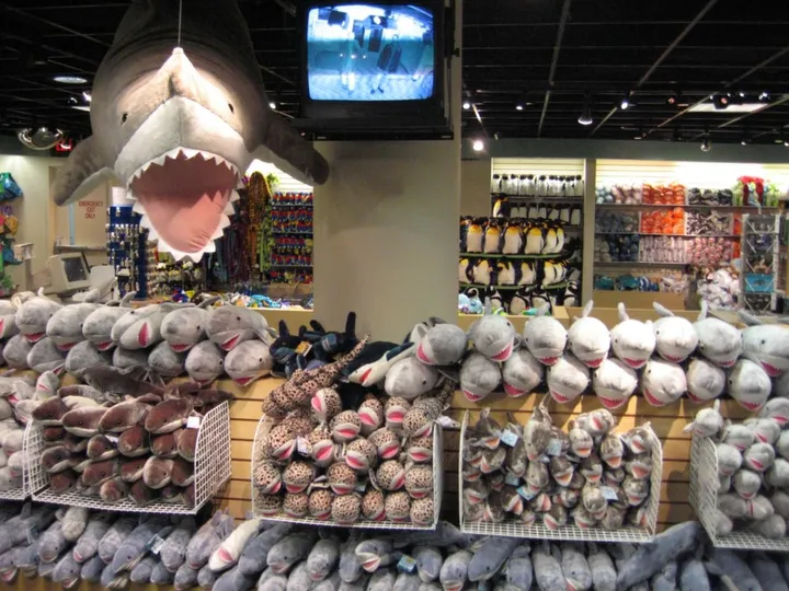 Shark attack at the gift store