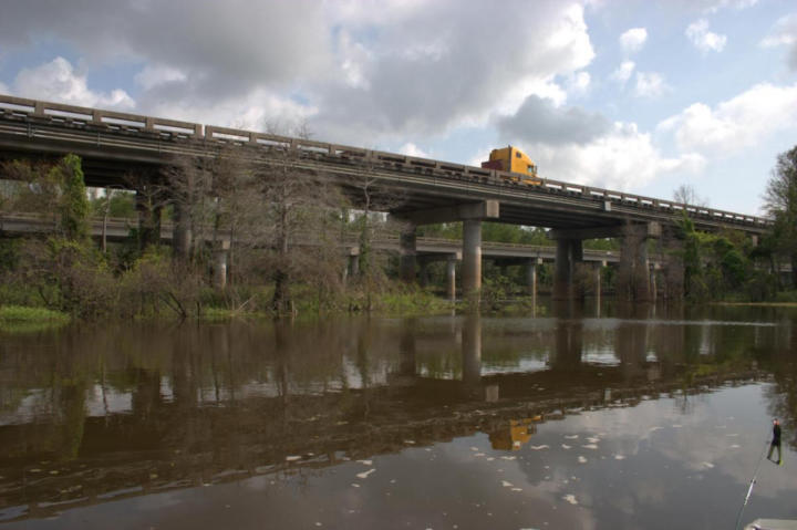 Route 10 spans the entire swamp