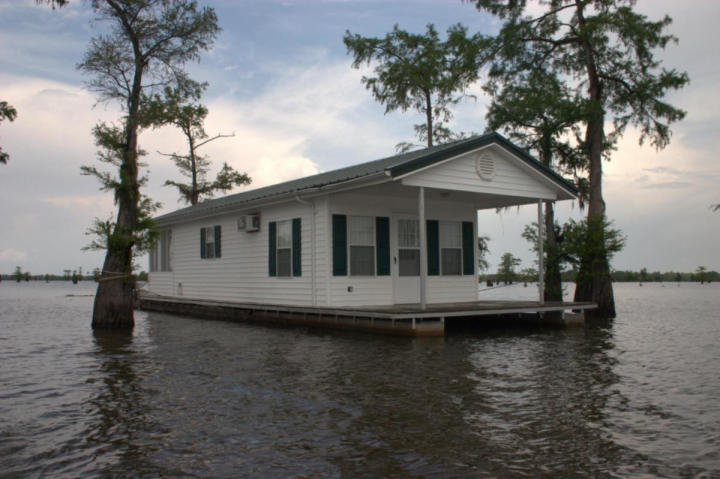 Our refuge on the swamp