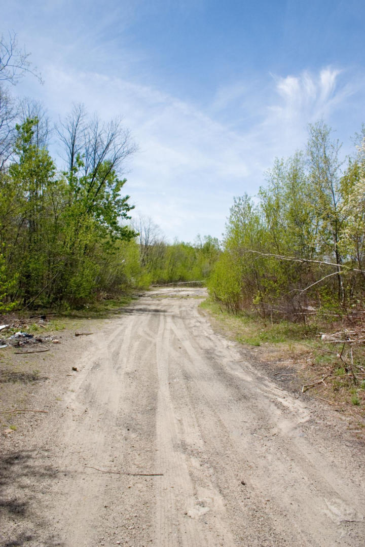 A dirt road, who knows where it goes?