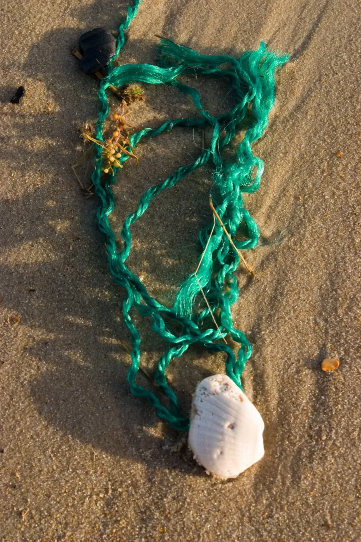 A mermaid’s necklace