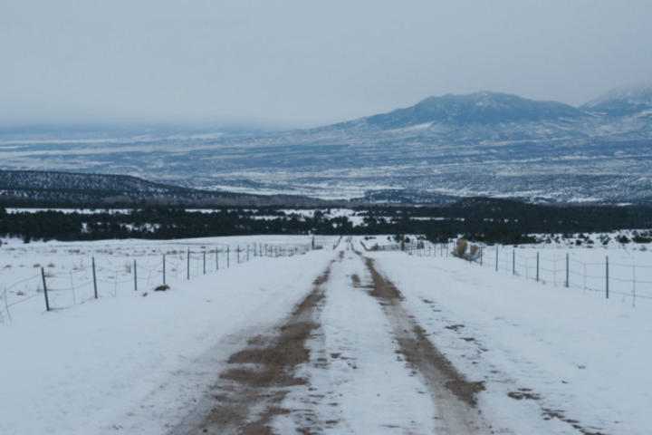 The road up to the house