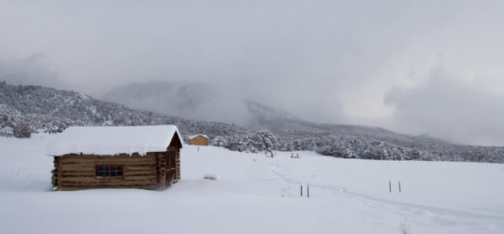 The surrounding area and the *other* shed