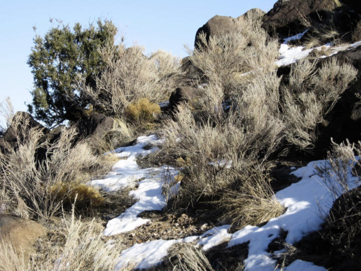 There was still some snow in the protected shady areas