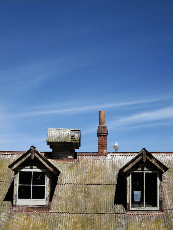 Seagull perched on the old housing