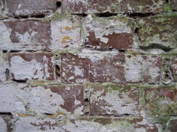 Mossy bricky texturey